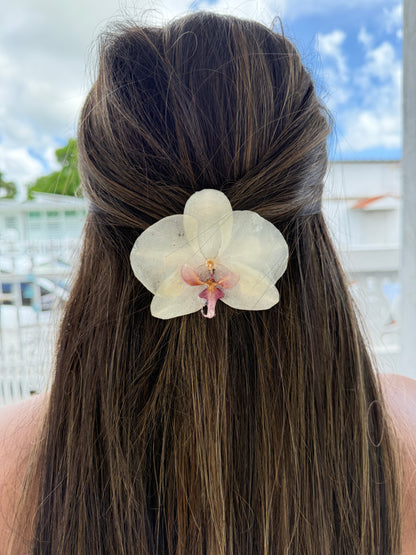 White Phalaenopsis Orchid Hair clip