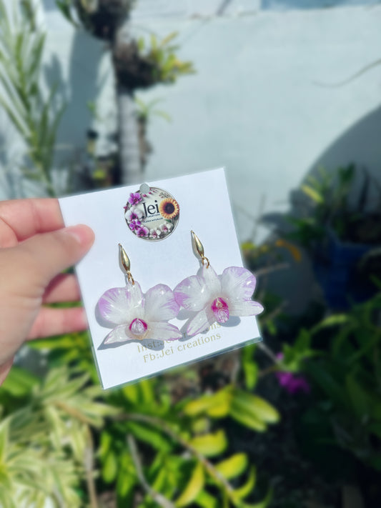 Dendrobium Orchid Purple line