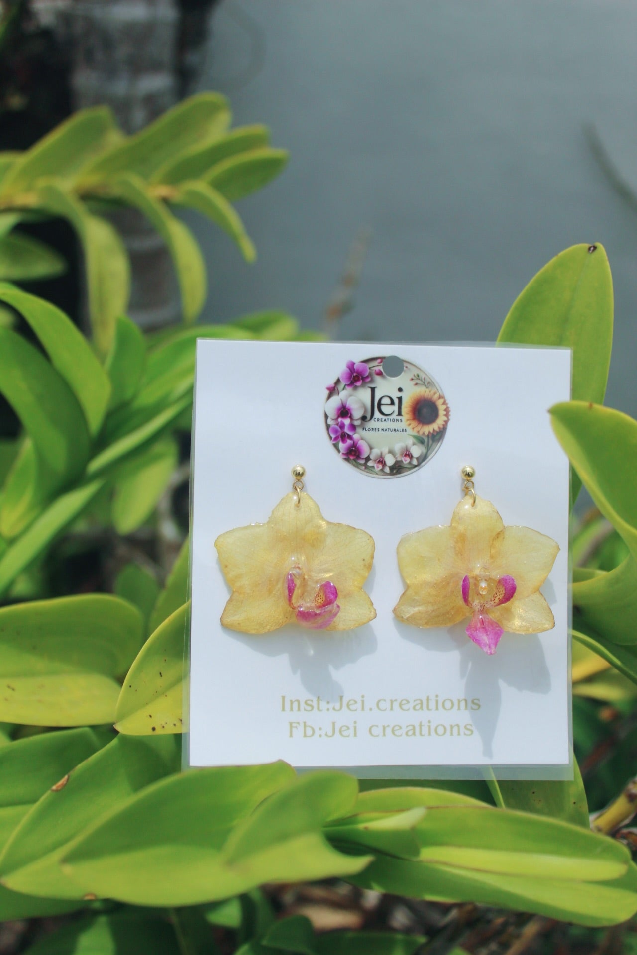 Baby yellow orchid earings