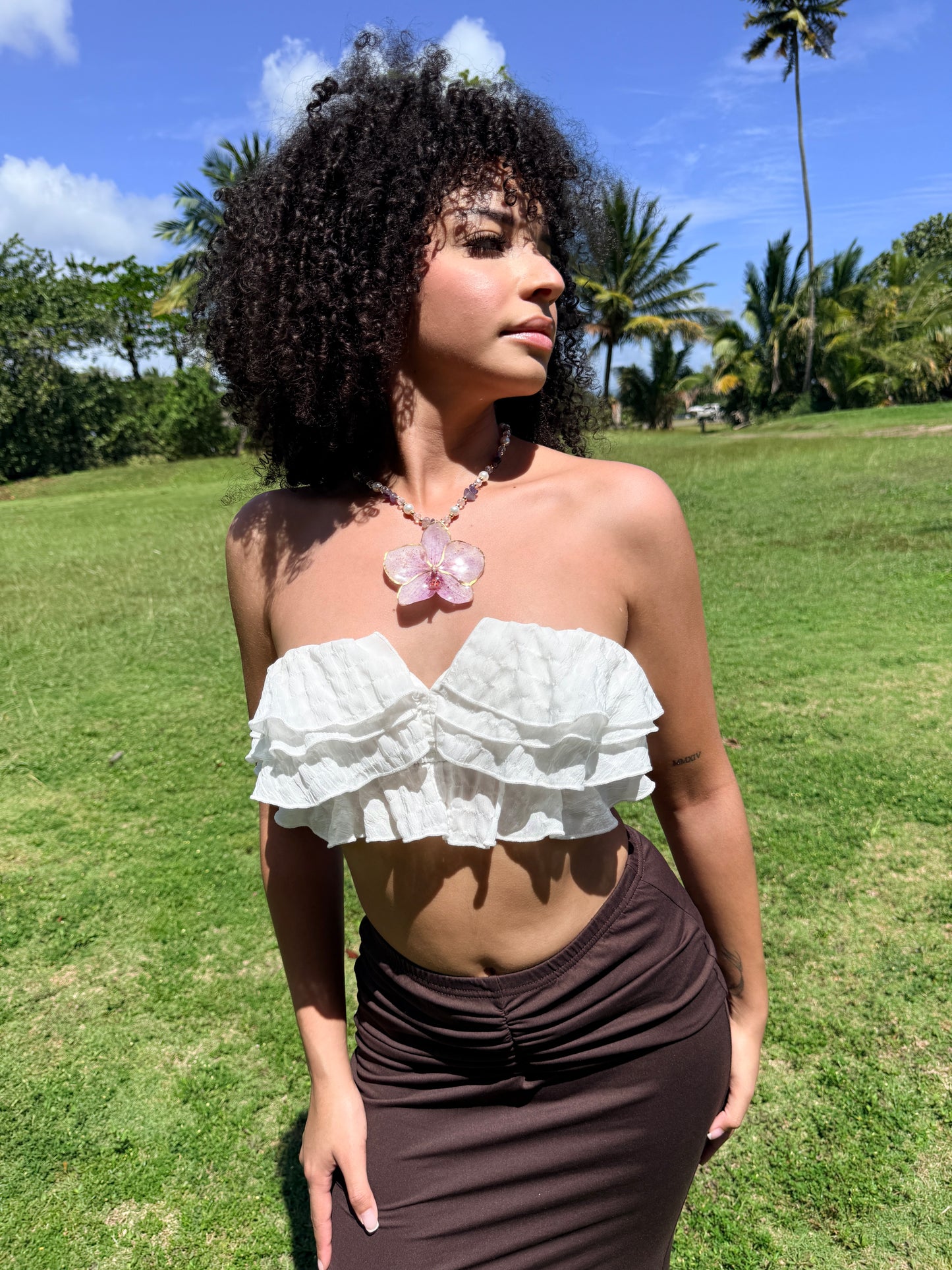 Phalaenopsis fairy purple necklace