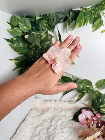 Ivory Phalaenopsis Ring