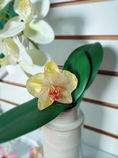 Real Flowers Popsocket (phoneholder)