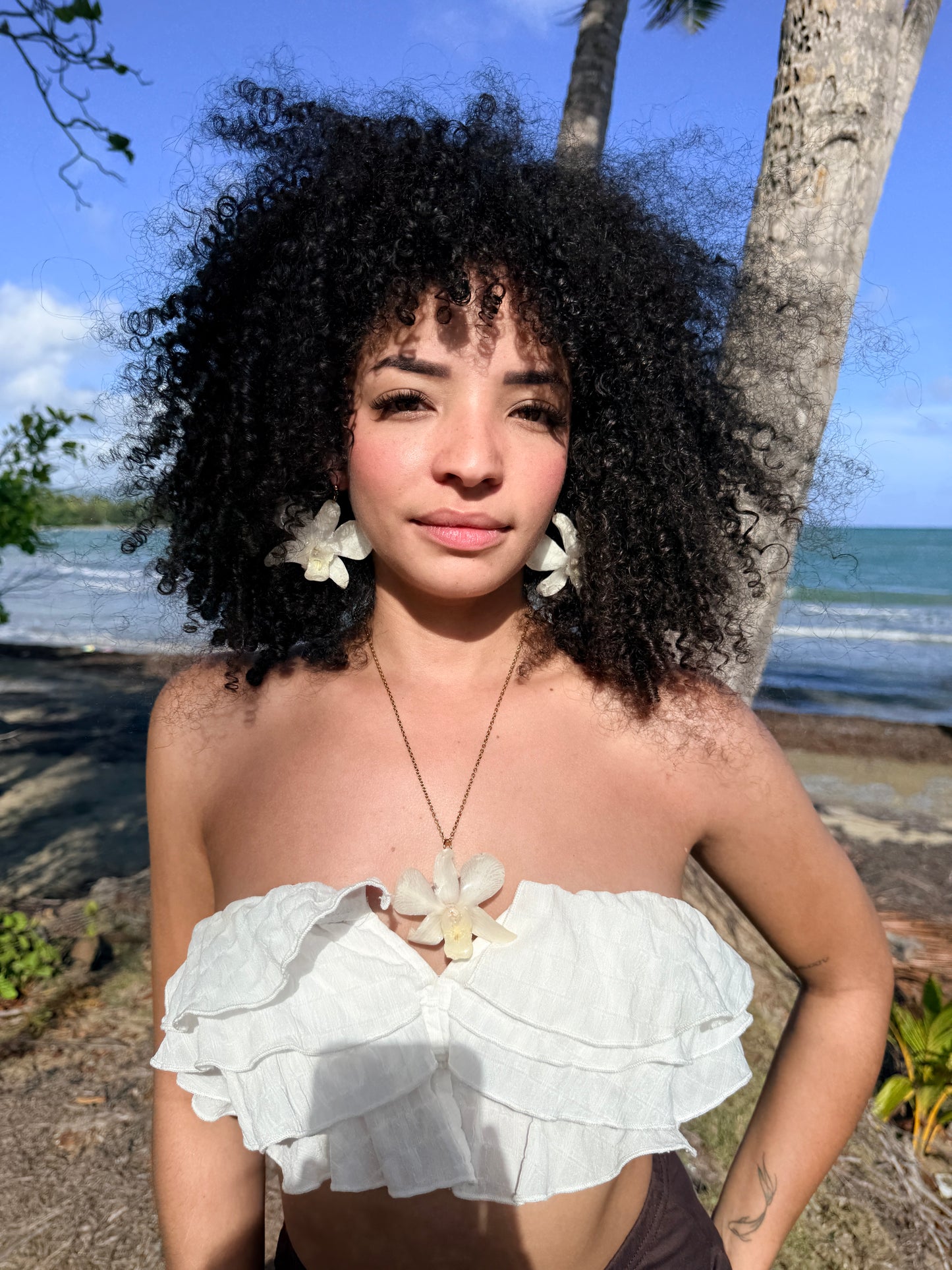 White Dendrobium Orchid