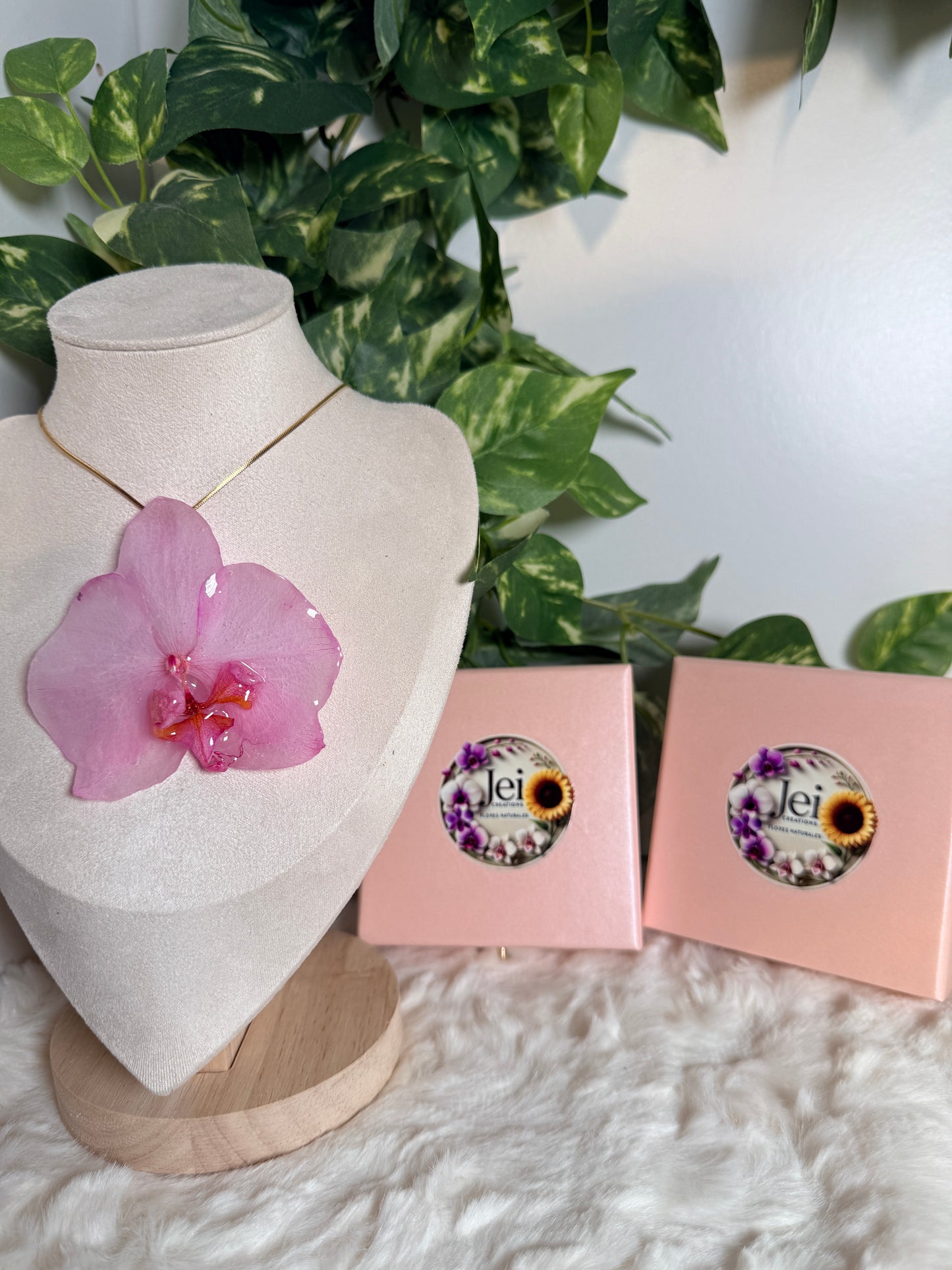Mother’s Love Orchid Bundle