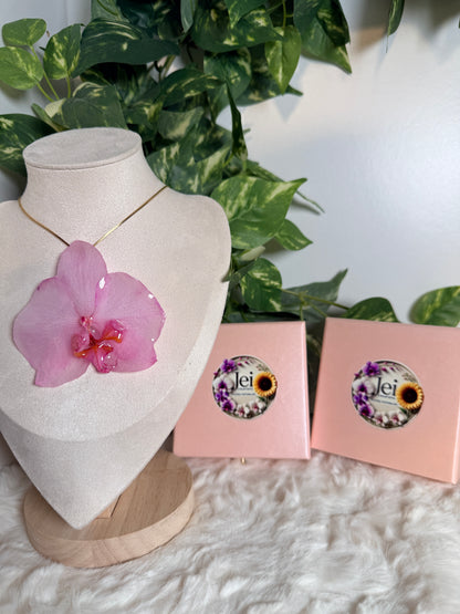 Mother’s Love Orchid Bundle
