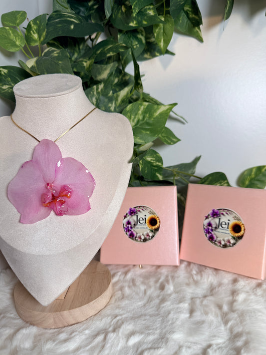 Mother’s Love Orchid Bundle