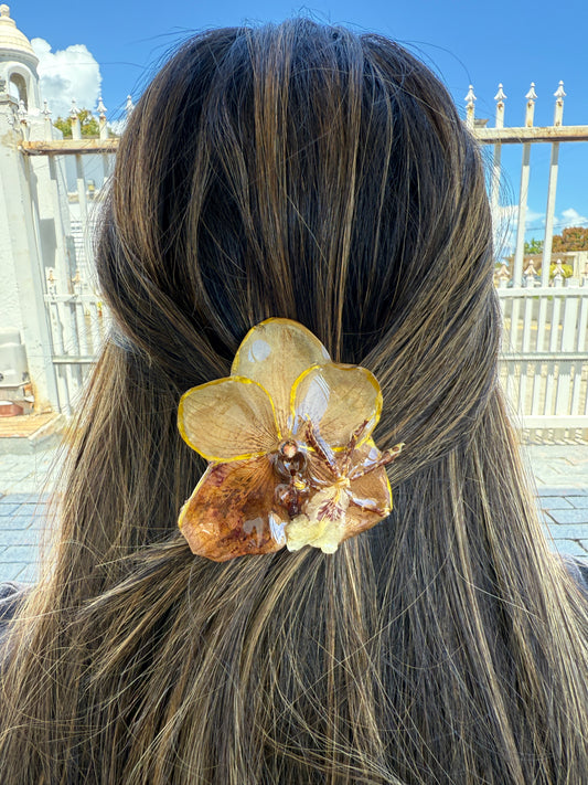 Brown Orchid Hair clip