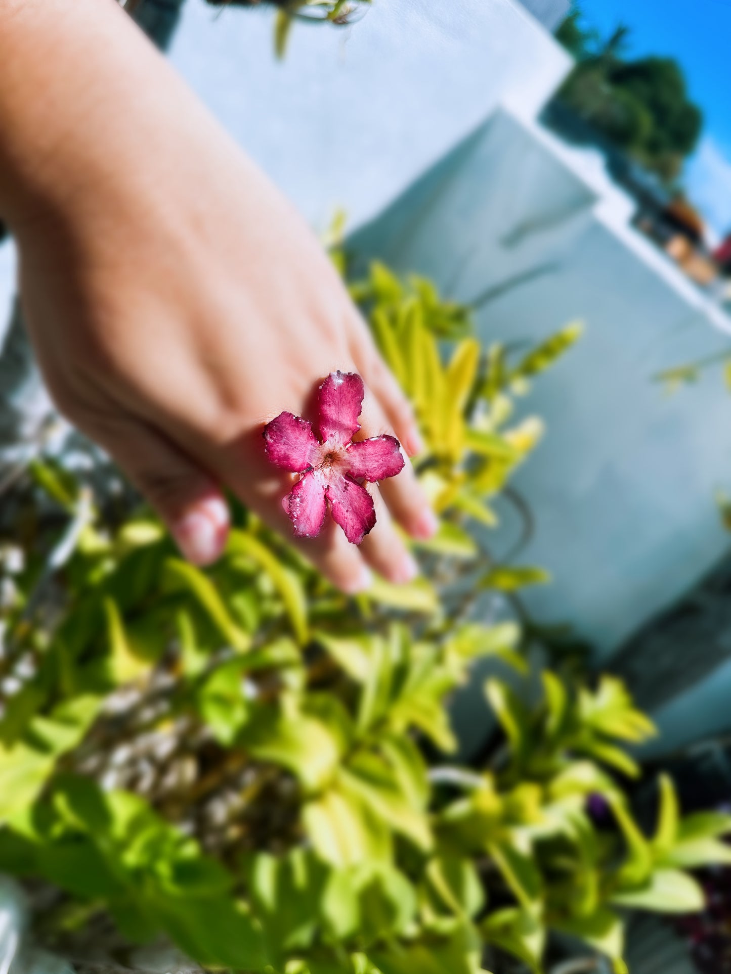 Desert Rose Ring