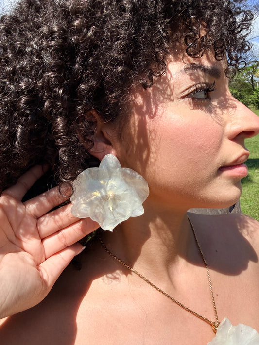 White Phalaenopsis stud