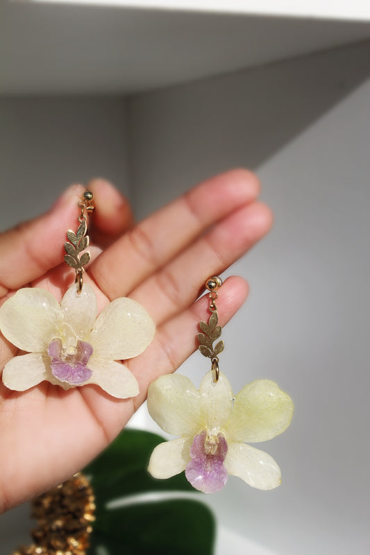 Baby yellow Orchid earings