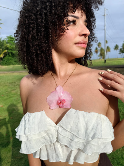 Mother’s Love Orchid Bundle