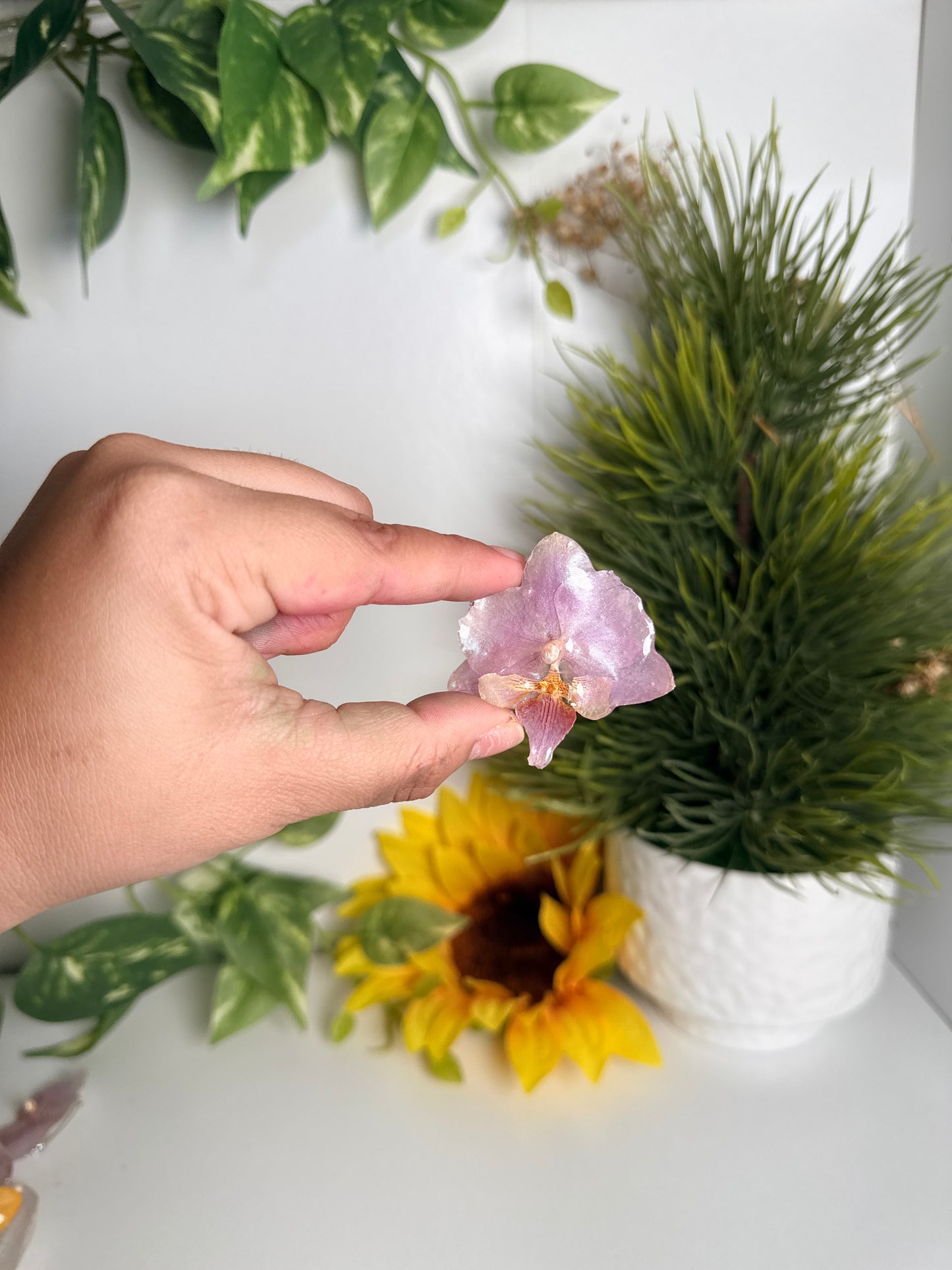 Prendedores(Orchid pins)