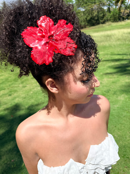 Amapola hair clip🌺 ( pre- venta-12-junio)