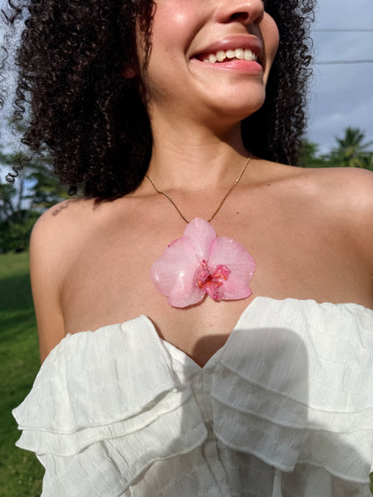 Mother’s Love Orchid Bundle