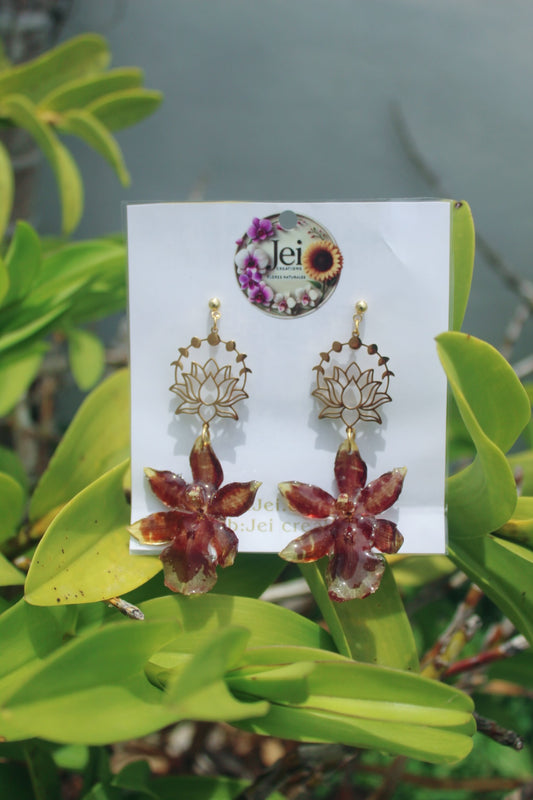 Brown Orchid Oncidium earings