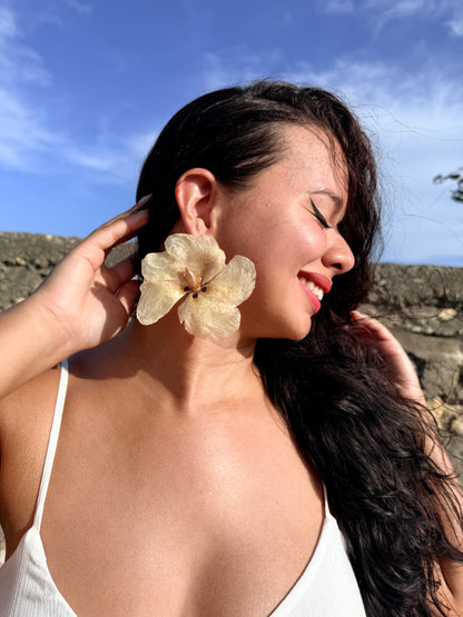 Champagne Frescura Flower Stud Earrings