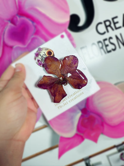 Prendedores(Orchid pins)