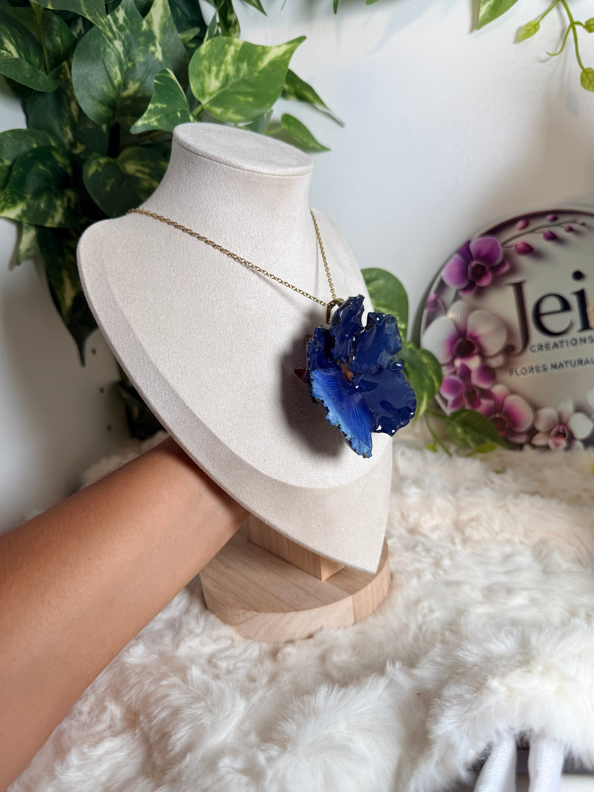 Flamboyán azul set