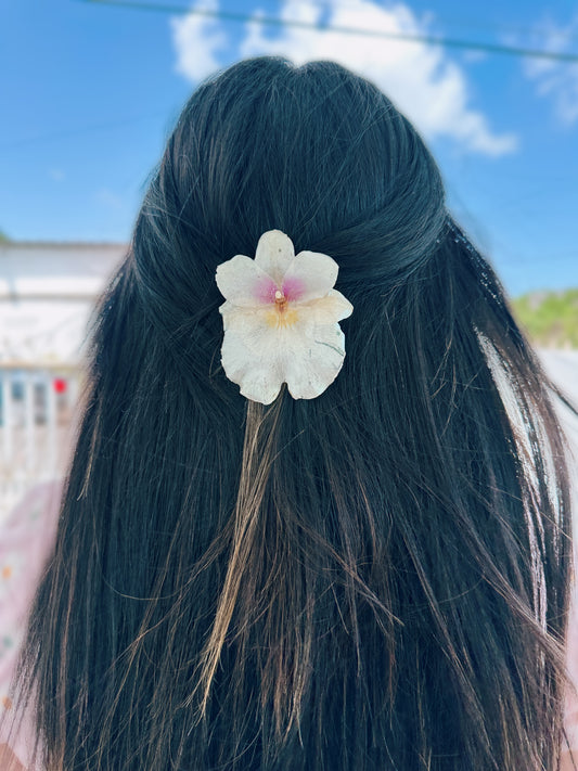 White Miltonia Orchid Hair clip