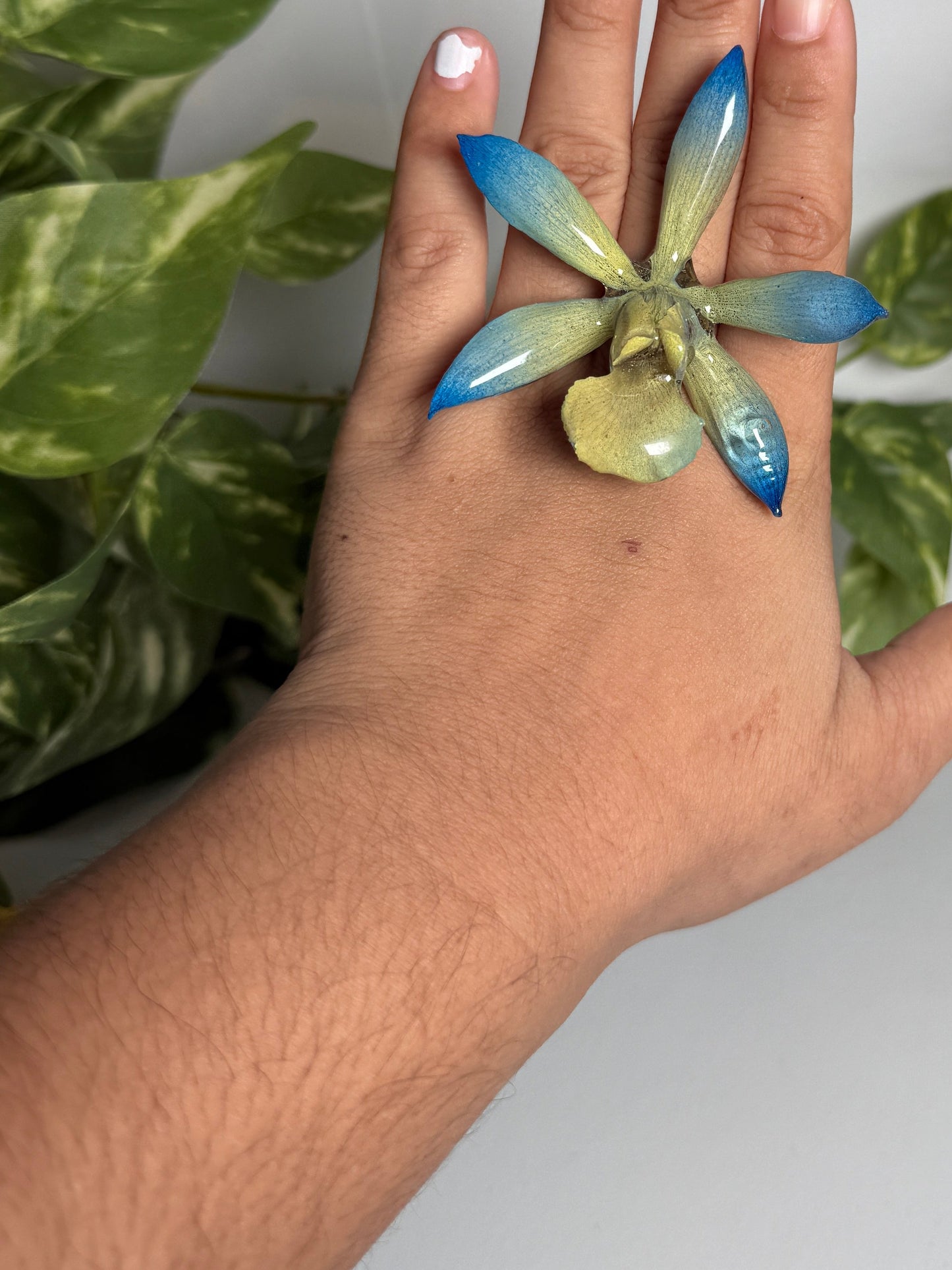 Cattleya orchid ring