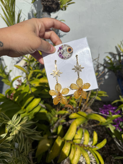 Yellow Orchid star earings