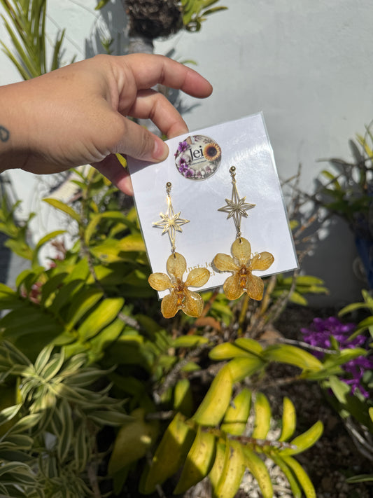 Yellow Orchid star earings
