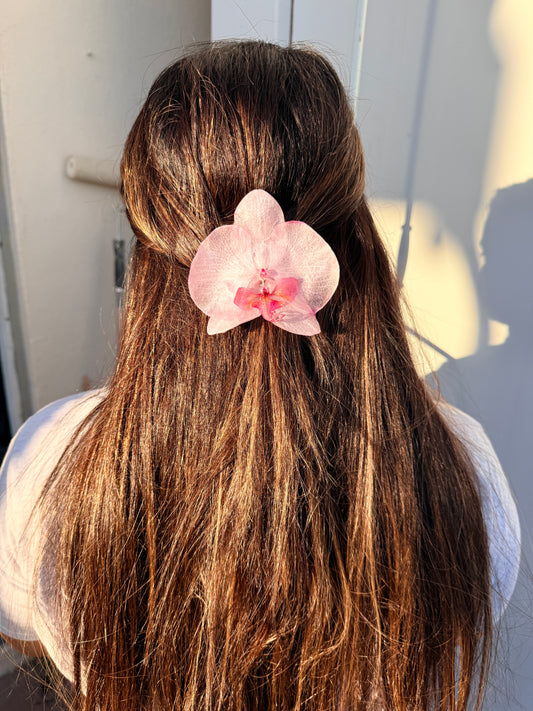 Pink Whisper Orchid Hair Clip