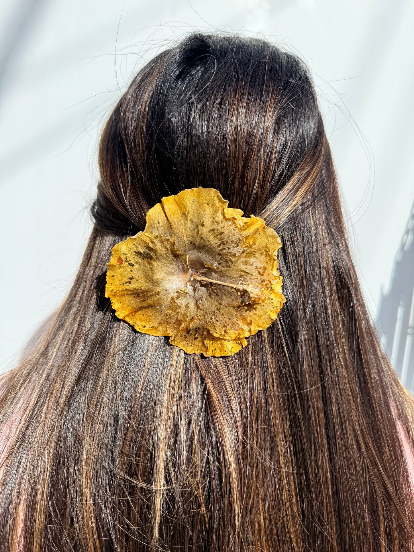 Exotic Hair Clip