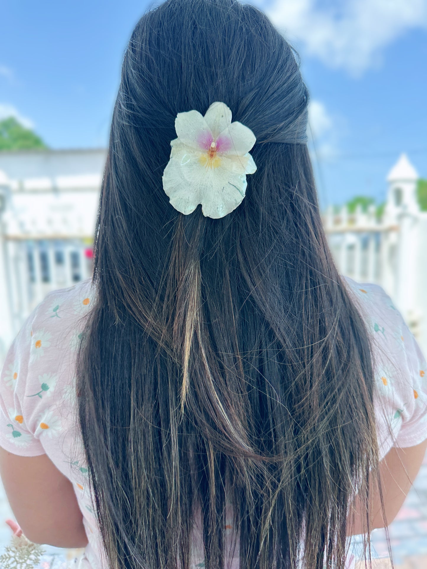 White Miltonia Orchid Hair clip