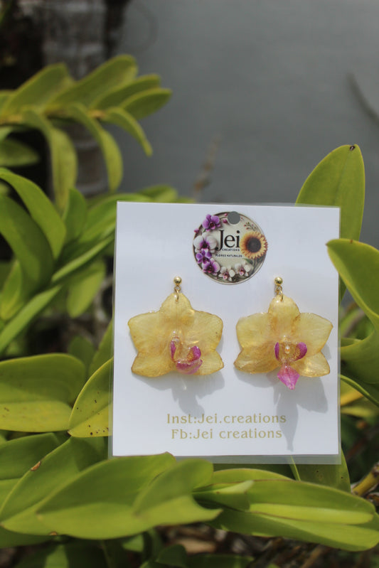 Baby yellow orchid earings