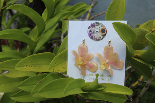 Mini Dendrobium Orchid earings