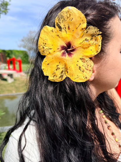 Golden Sun 2-in-1 Necklace & Hair Clip