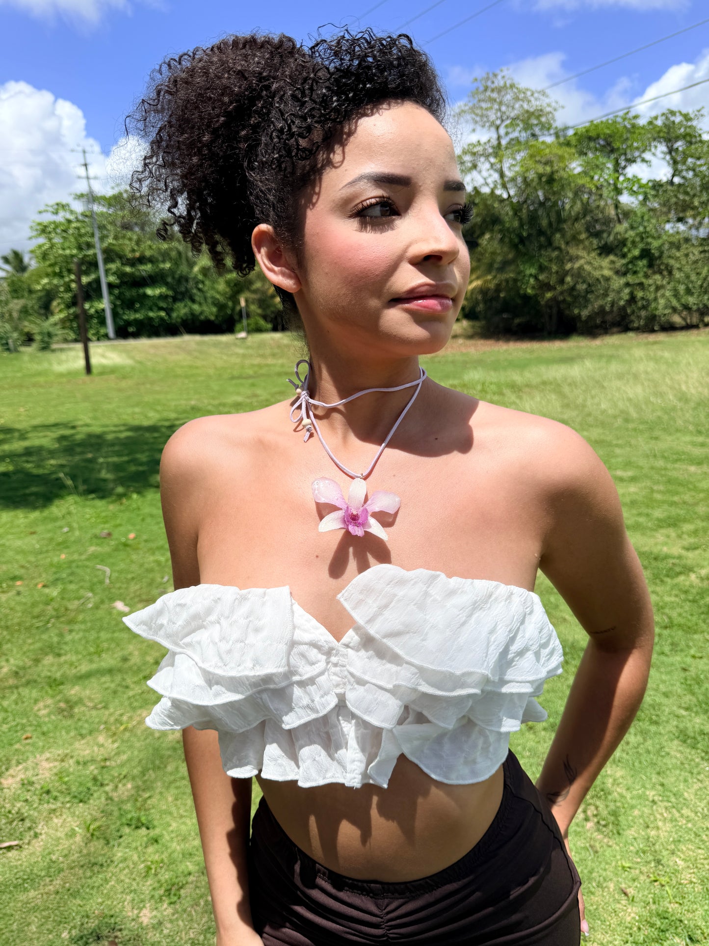 Dendrobium choker