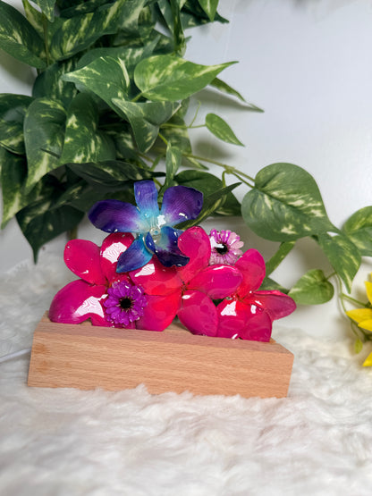 Vivid Bloom LED Display