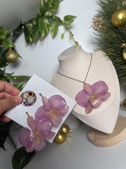 Big Dendrobium Orchid set