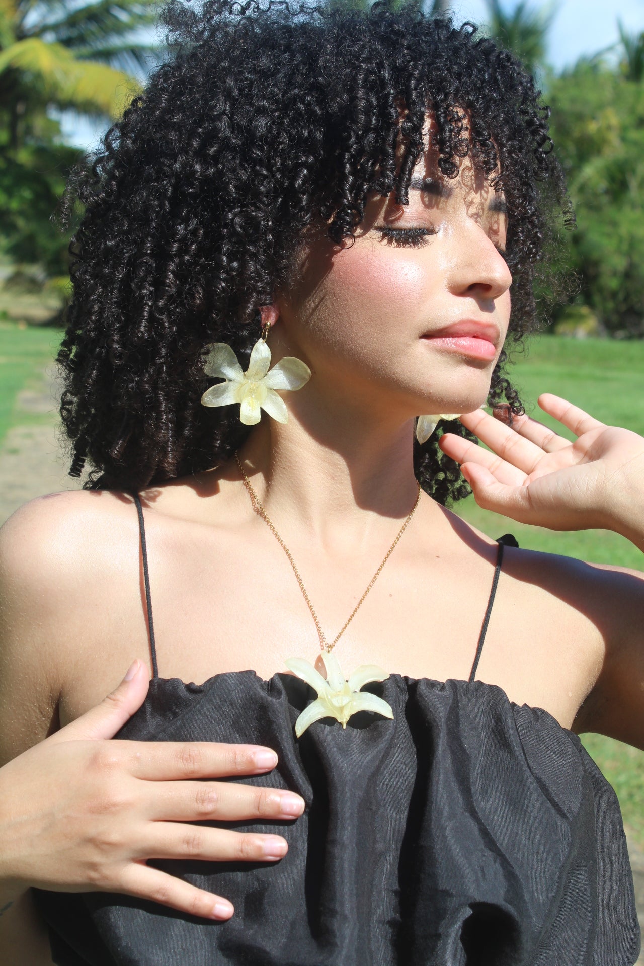 Orchid Holiday Bundle🎄