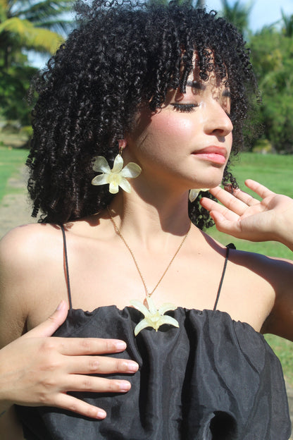 Orchid Holiday Bundle🎄