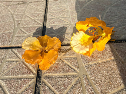 Yellow Flamboyant necklace