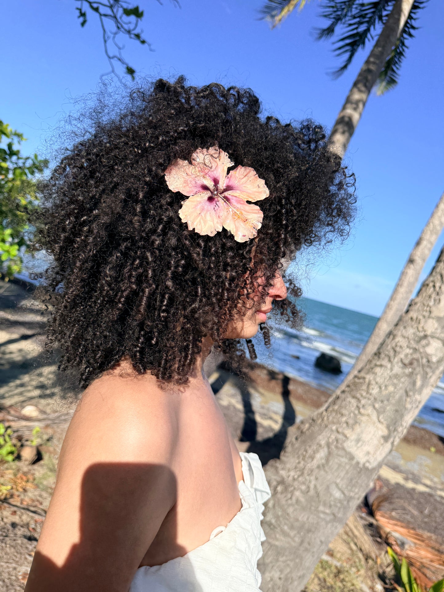 Peach/Pink amapola hair clip
