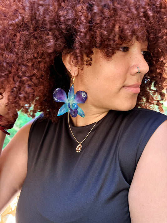 Blue orchid set