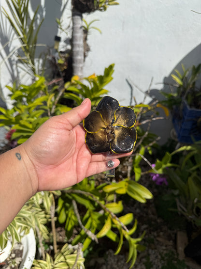 Orchid/flowers badge clip