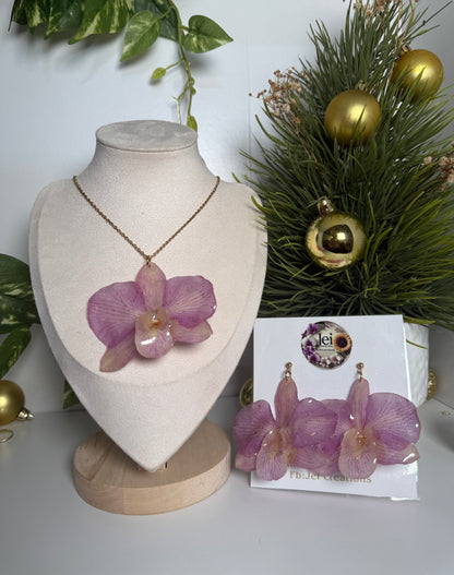 Big Dendrobium Orchid set