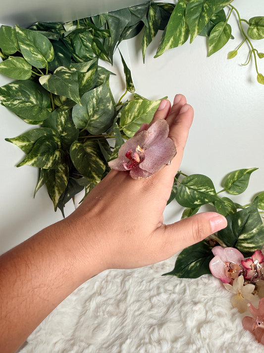Phalaenopsis Ring
