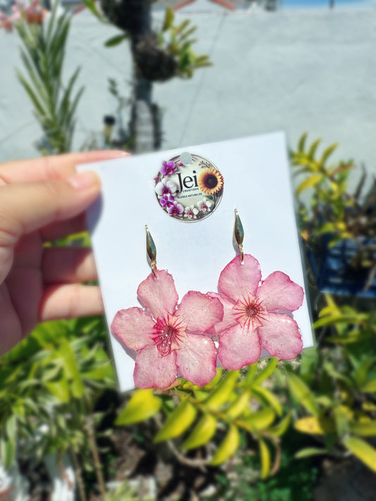 Pink Desert rose earings