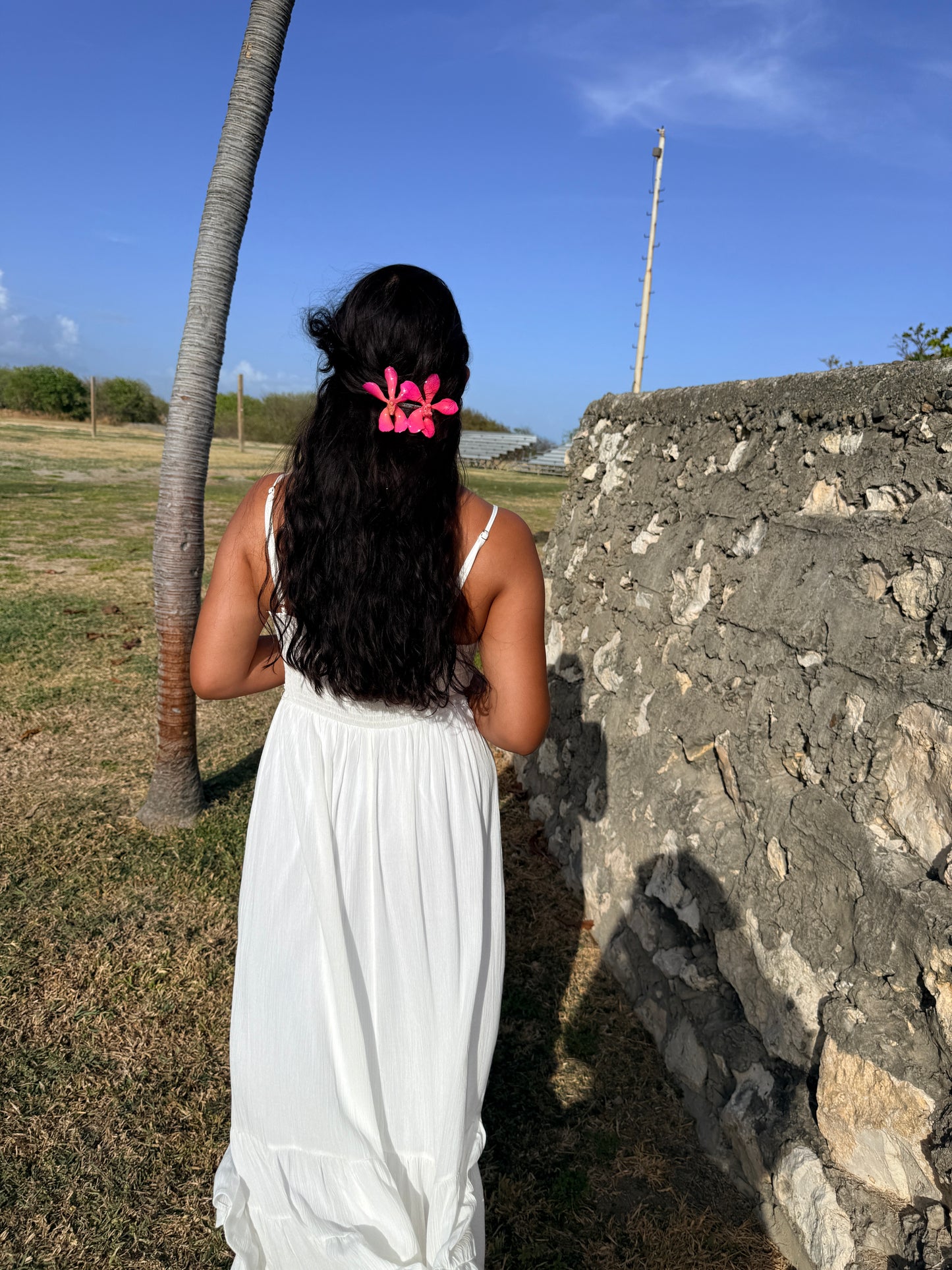 Double Vanda Orchid Hair Clip