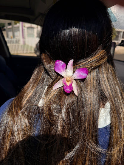 Pink/Purple Orchid Hair Clip
