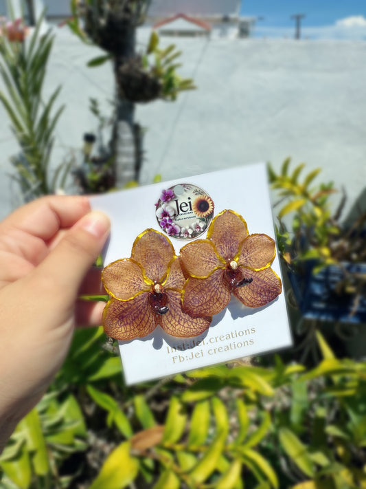 Orchid Vanda Stud