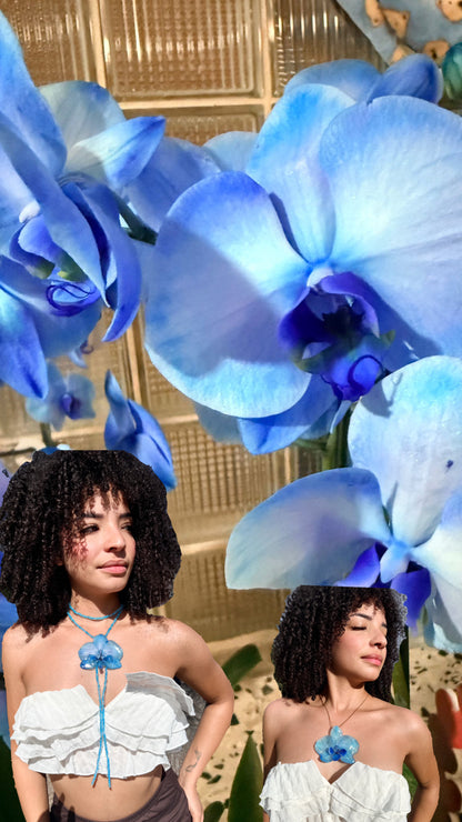 Ocean Blue Orchid(bundle)