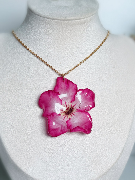 Desert rose necklace/earings