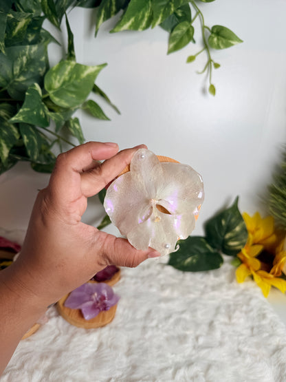 Bloom Petal Mirror